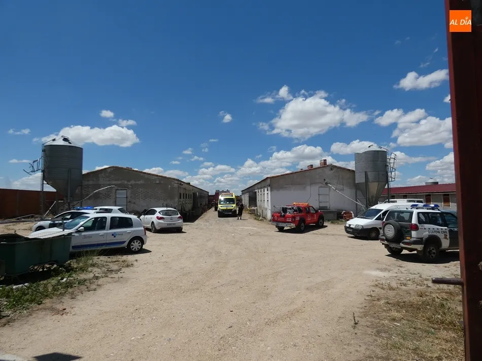Foto 5 - Herido grave tras quedar atrapado por la pala de un tractor en una granja porcina en Villoria
