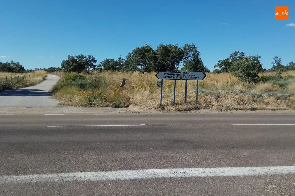 Foto 2 - La Junta limpia de maleza la CL-517 a la altura de Peralejos de Arriba  