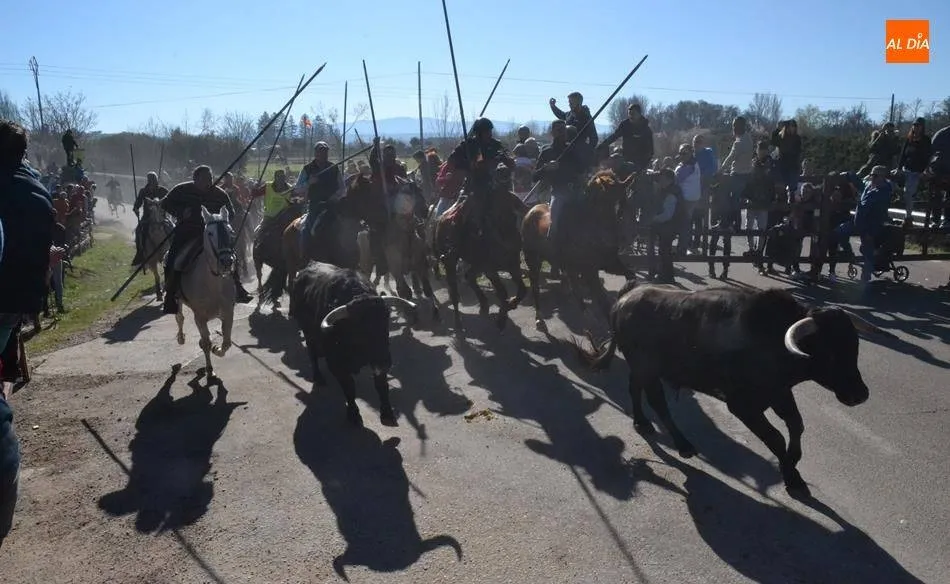 El Carnaval del Toro 2020 costó en total 354.140€, 14.270€ más que el año pasado  