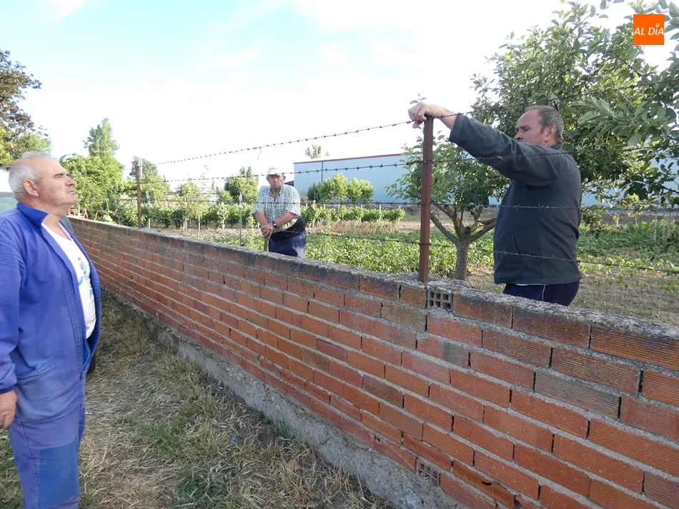 Foto 4 - Versados en horticultura