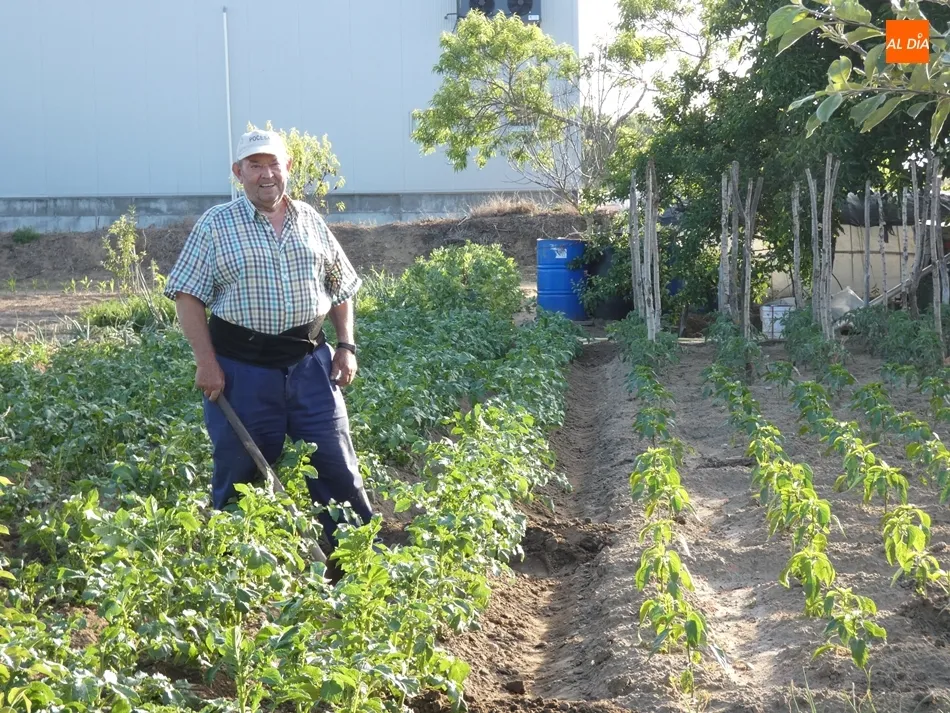 Foto 3 - Versados en horticultura