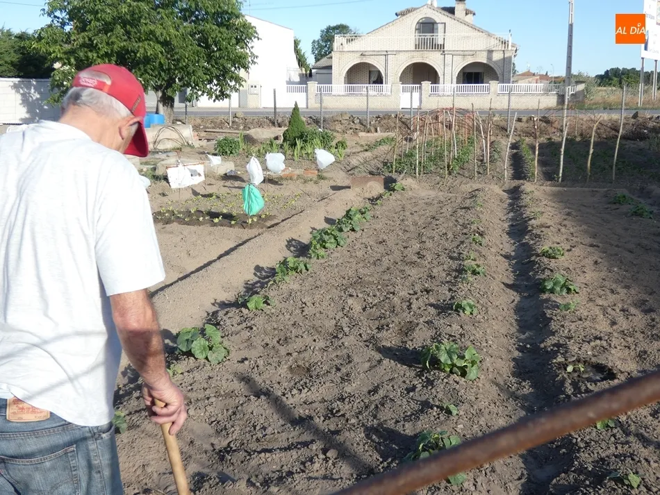 Foto 2 - Versados en horticultura