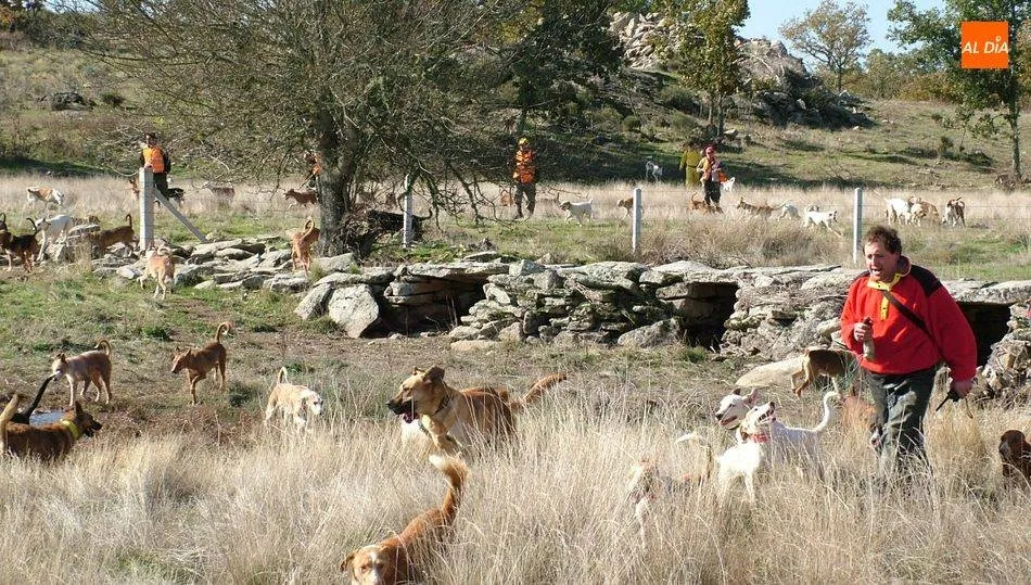 Cazadores en plena actividad - Archivo