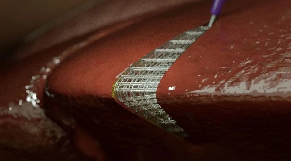 Imagen de una estructura de red tridimensional de un tejido implantado directamente en un tejido vivo blando. - OHIO STATE UNIVERSITY