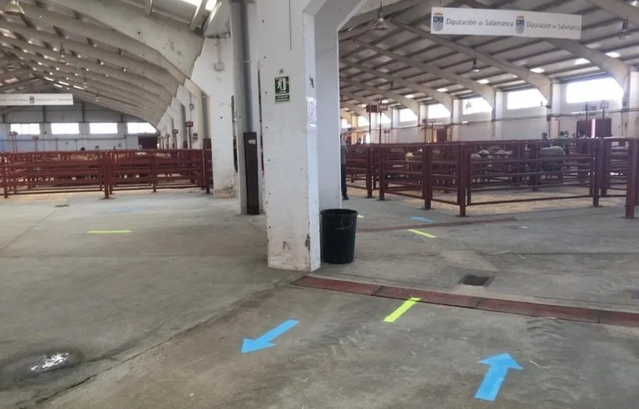 Foto 3 - El Mercado de Ganados se adapta a la 'nueva realidad' con&nbsp;las medidas de seguridad...