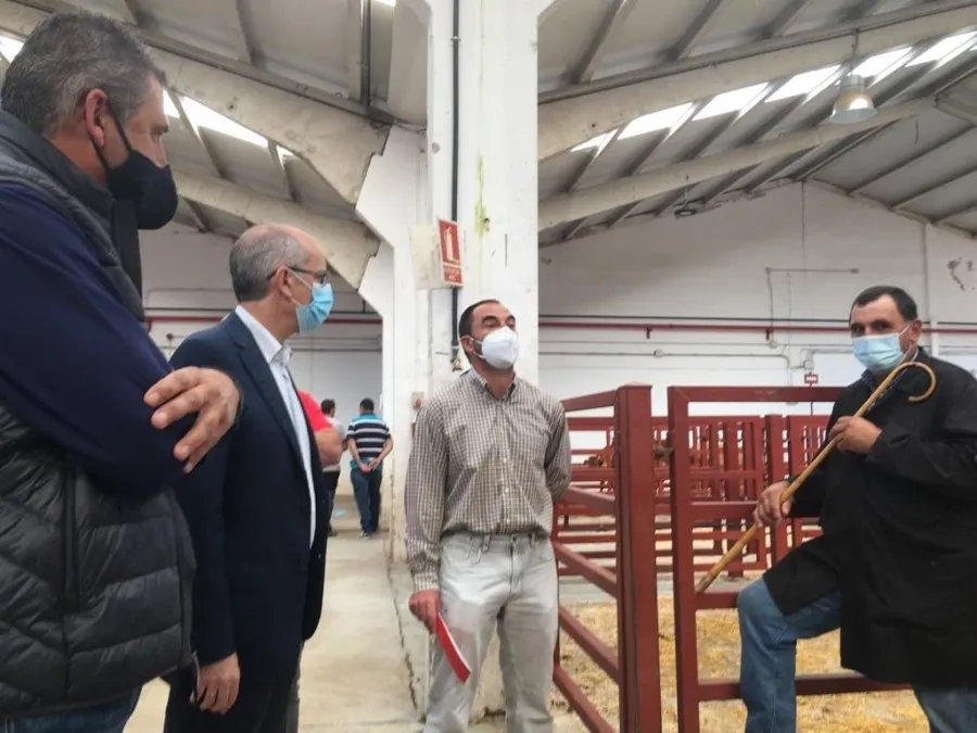 Foto 2 - El Mercado de Ganados se adapta a la 'nueva realidad' con&nbsp;las medidas de seguridad...