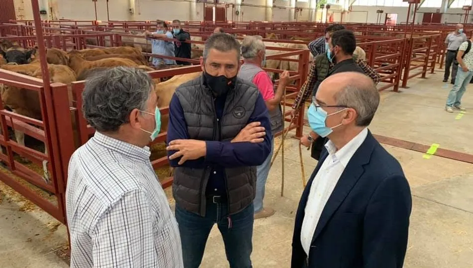 Foto 2 - Nuevo descenso del precio de la carne de vacuno mientras ovino y porcino mantienen la tendencia al...