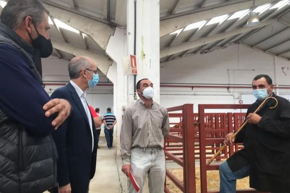 Foto 3 - Nuevo descenso del precio de la carne de vacuno mientras ovino y porcino mantienen la tendencia al...