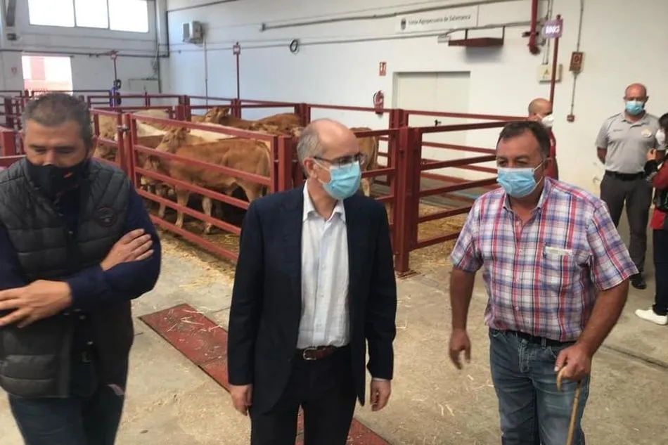 Foto 4 - Nuevo descenso del precio de la carne de vacuno mientras ovino y porcino mantienen la tendencia al...