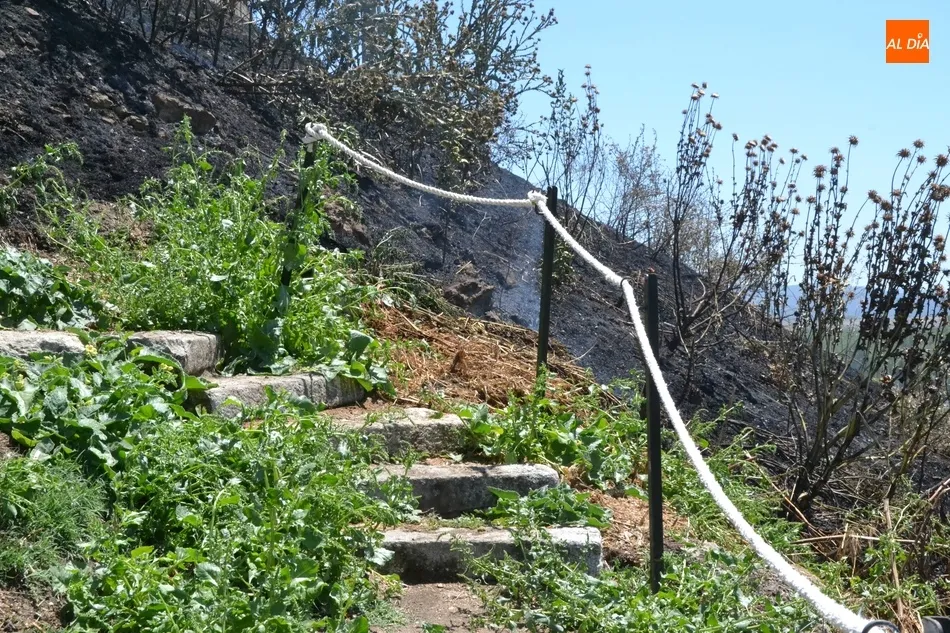 Foto 10 - Un incendio calcina la zona anexa a la Cuesta de las Emes a los pies de la Puerta de Santiago  