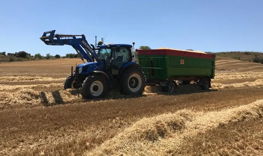 Asaja lamenta la manipulación y la especulación que se esta produciendo en el mercado del cereal en España. Foto AsajaCyL