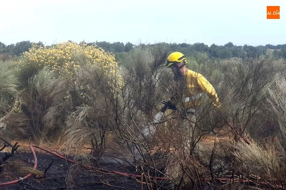 Foto 5 - Sofocado un incendio provocado por un rayo en Ahigal de Villarino  