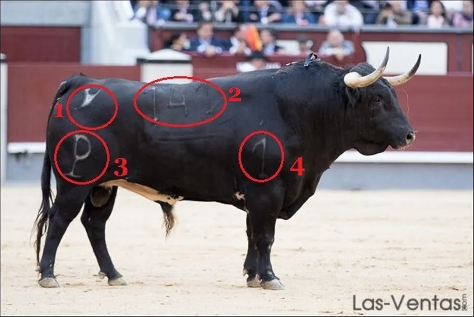 Foto 2 - La marca en el ganado