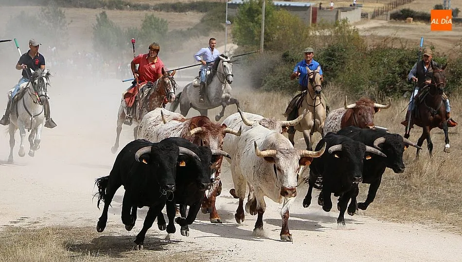 Los festejos taurinos y las verbenas serán de nuevo los principales damnificados en las fiestas / CORRAL