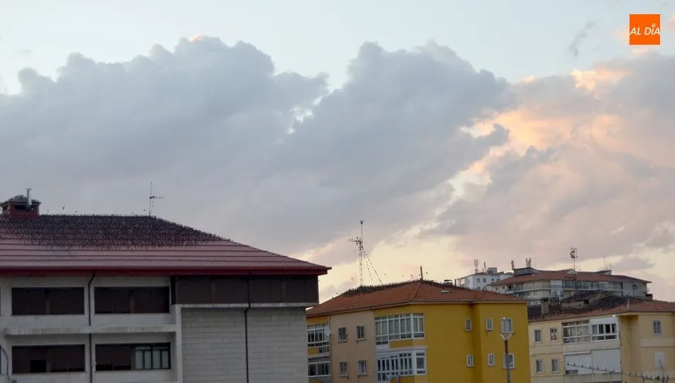 Estorninos sobre los tejados próximos al parque municipal de Béjar