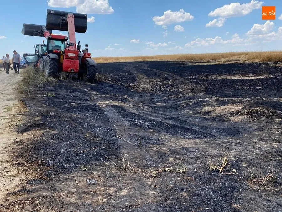 Foto 2 - Un incendio en B&oacute;veda del R&iacute;o Almar llega hasta los m&aacute;rgenes de una mina de cuarzo