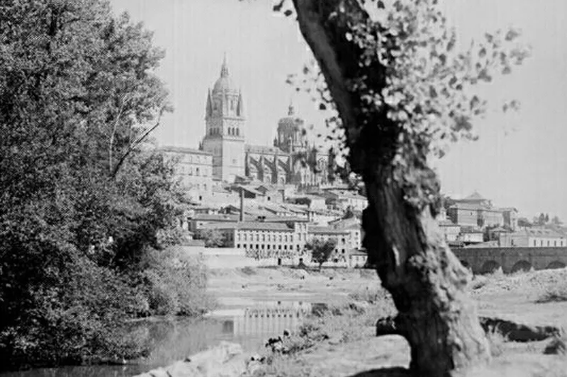 Foto 4 - El r&iacute;o Tormes y su ribera  