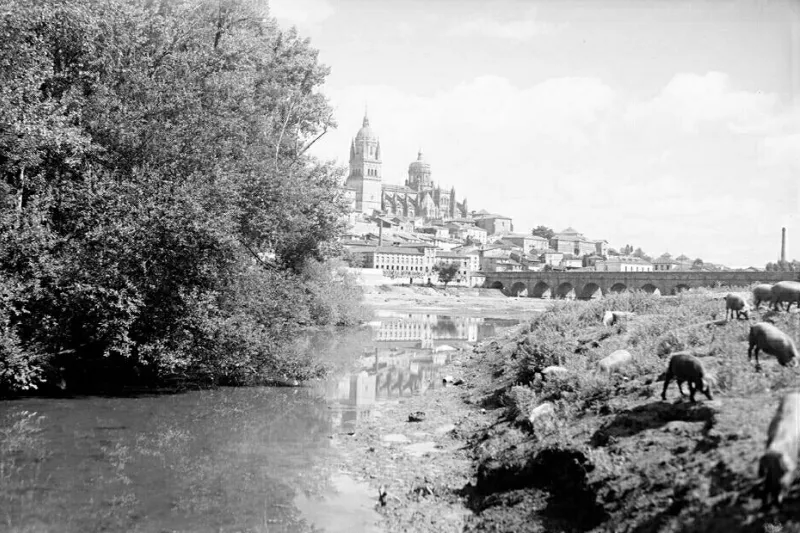 Foto 2 - El r&iacute;o Tormes y su ribera  