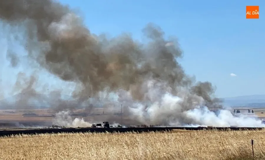 Foto 4 - Alarma en Pe&ntilde;aranda por un aparatoso incendio junto a la carretera de Macotera