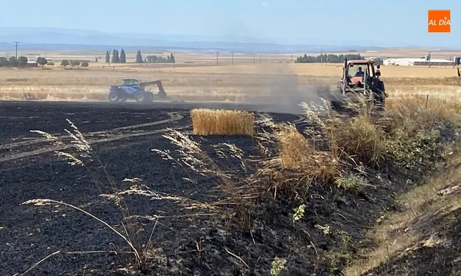 Foto 3 - Alarma en Pe&ntilde;aranda por un aparatoso incendio junto a la carretera de Macotera