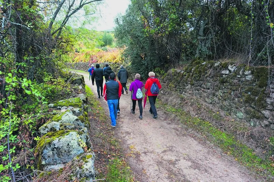 Los Caminos del Arte son una buena opción para comenzar con el senderismo turístico, como el Camino del Agua en Mogarraz  | ARCHIVO