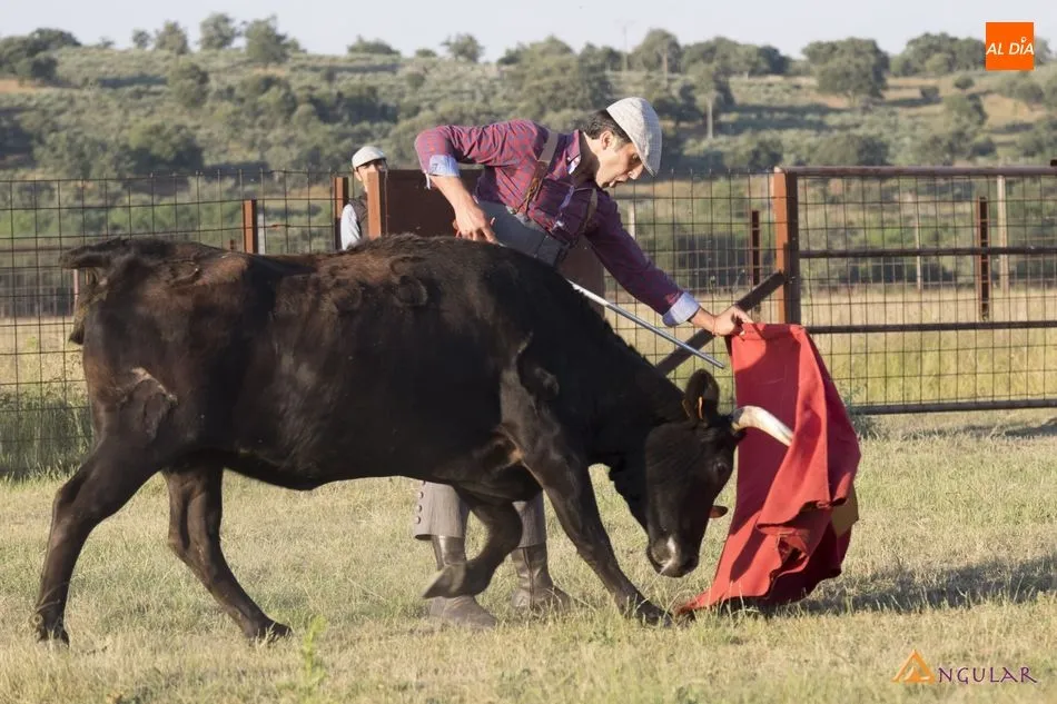 Foto 6 - Javier Casta&ntilde;o, el sabor de la madurez  
