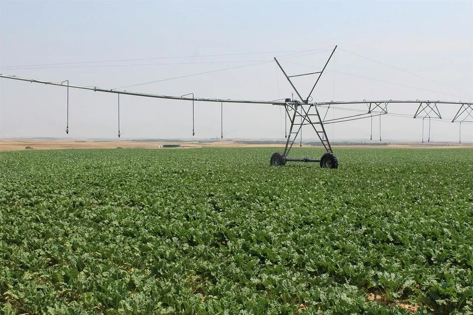 Campo de regadío en la cuenca del Duero. - CHD - Archivo