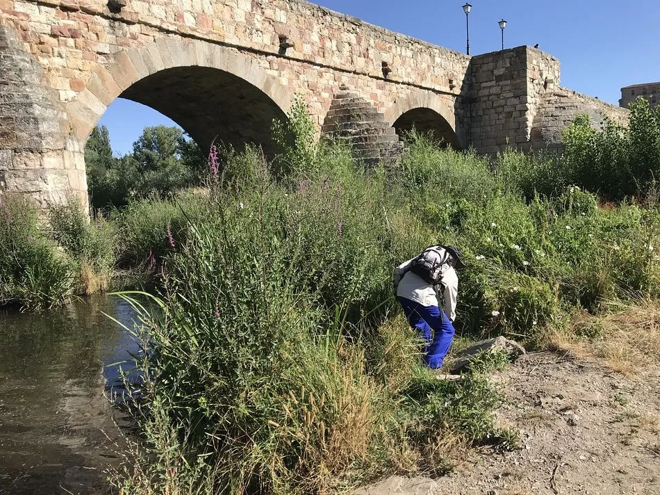 Foto 3 - Dos grupos ecologistas recogen residuos en la ribera pr&oacute;xima al Puente Romano de Salamanca