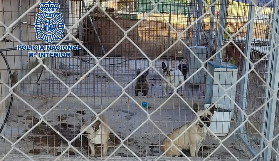 Criadero ilegal de perros en Don Benito - POLICÍA