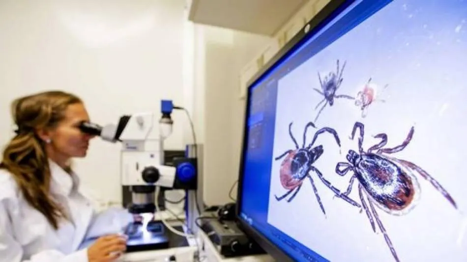 La Fiebre Hemorrágica de Crimea-Congo está provocada por una garrapata