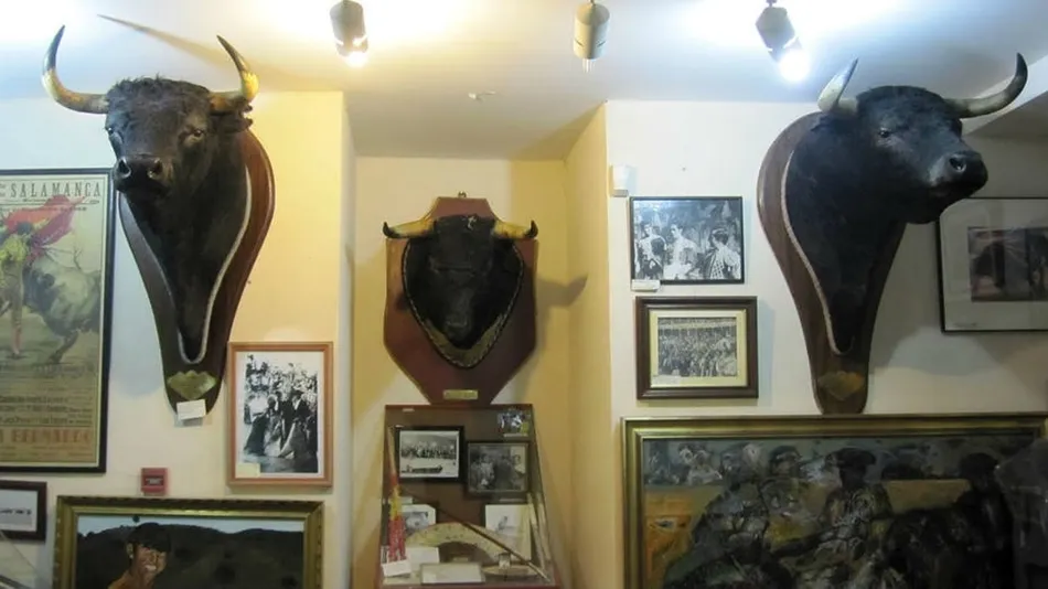 Museos taurinos