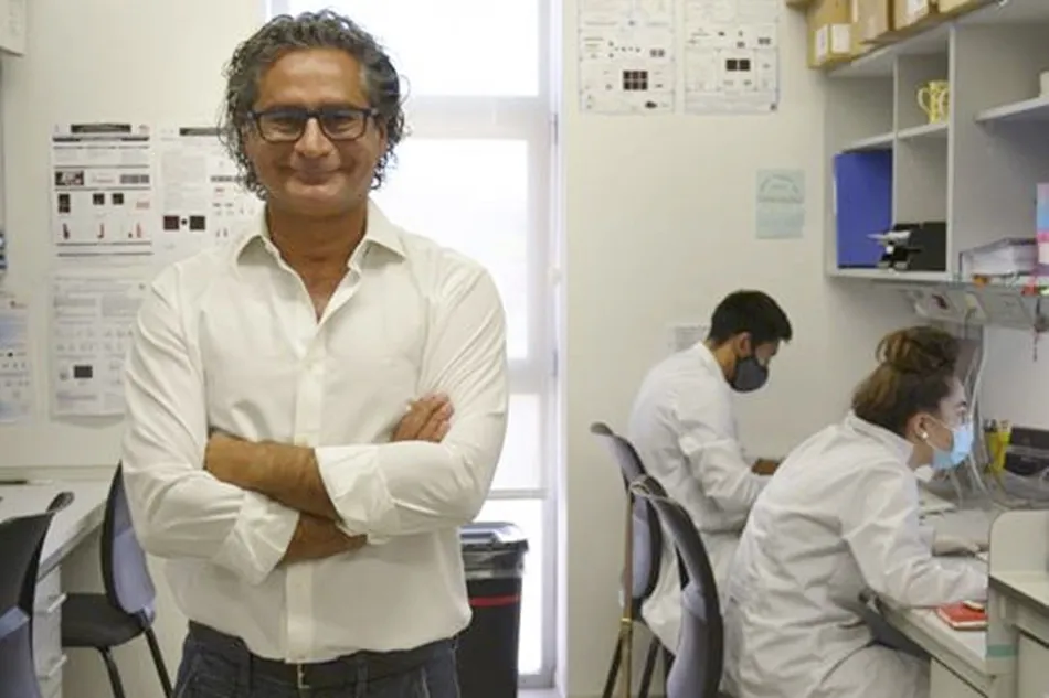 Una investigación revela que el metabolismo energético cerebral conecta el consumo de cannabis...