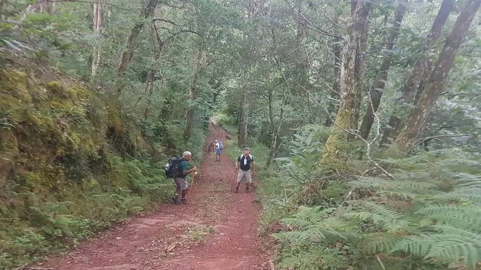 Foto 3 - El grupo de amigos mirobrigenses aficionados al Camino de Santiago contin&uacute;a la ruta del Norte  
