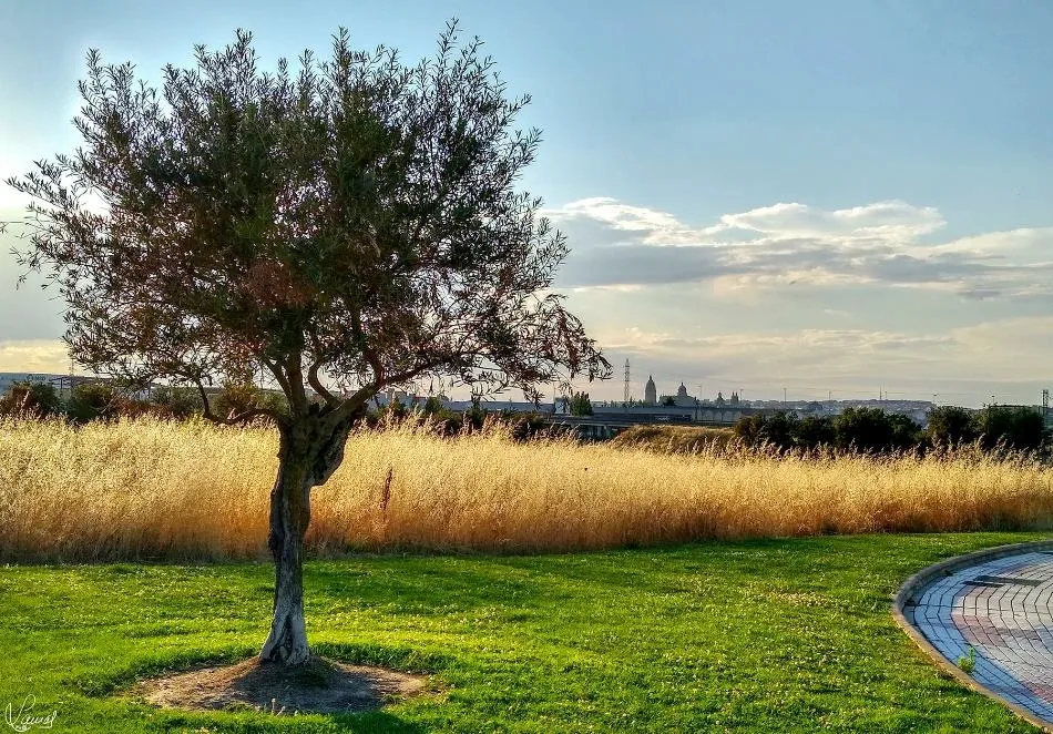 Presente sorprendente