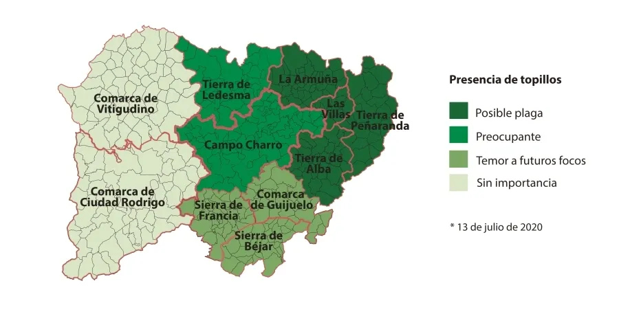 Alerta por la proliferación de topillos en Peñaranda, Las Villas, la Armuña y Alba