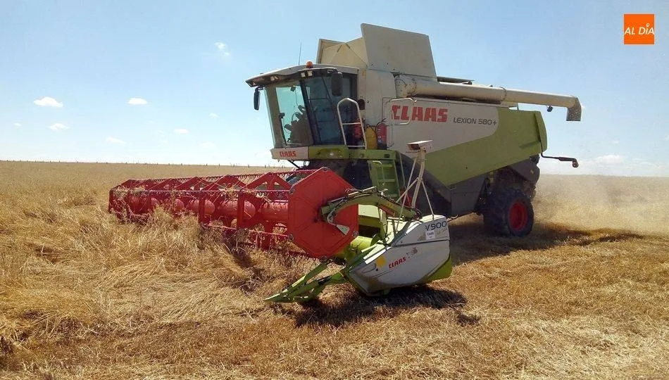 Estamos hablando de una cosecha tan magnífica que es la segunda mejor cosecha de los últimos 35 años, ha subrayado Carnero