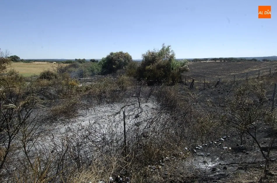 Foto 8 - Arde en la A-62 a la altura de Carpio de Azaba un cami&oacute;n cargado de latas de conserva  