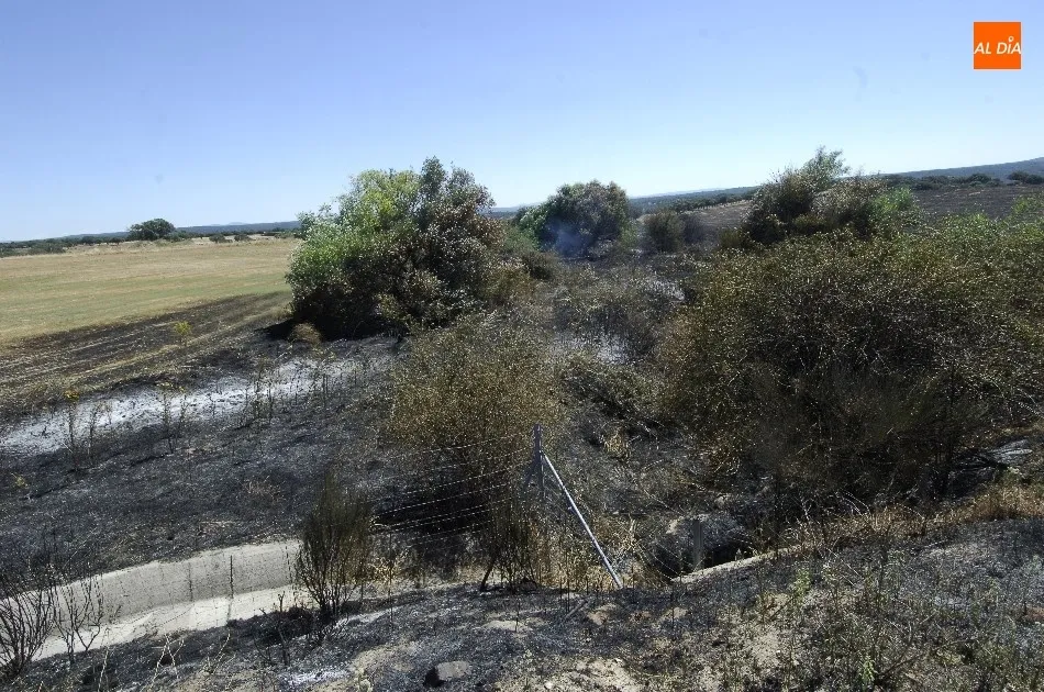 Foto 9 - Arde en la A-62 a la altura de Carpio de Azaba un cami&oacute;n cargado de latas de conserva  