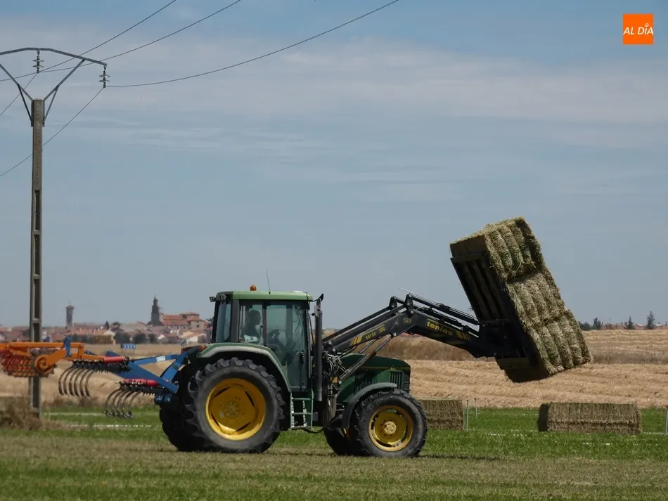 Foto 2 - Dan el tercer corte a las alfalfas en Cantalapiedra