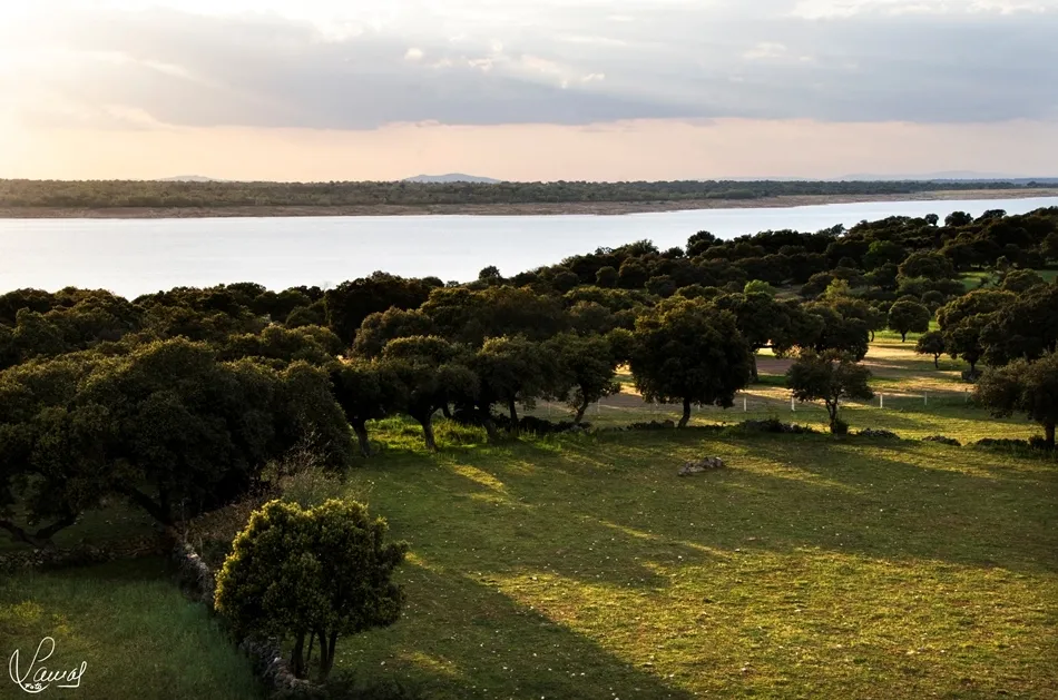 Delicias salmantinas