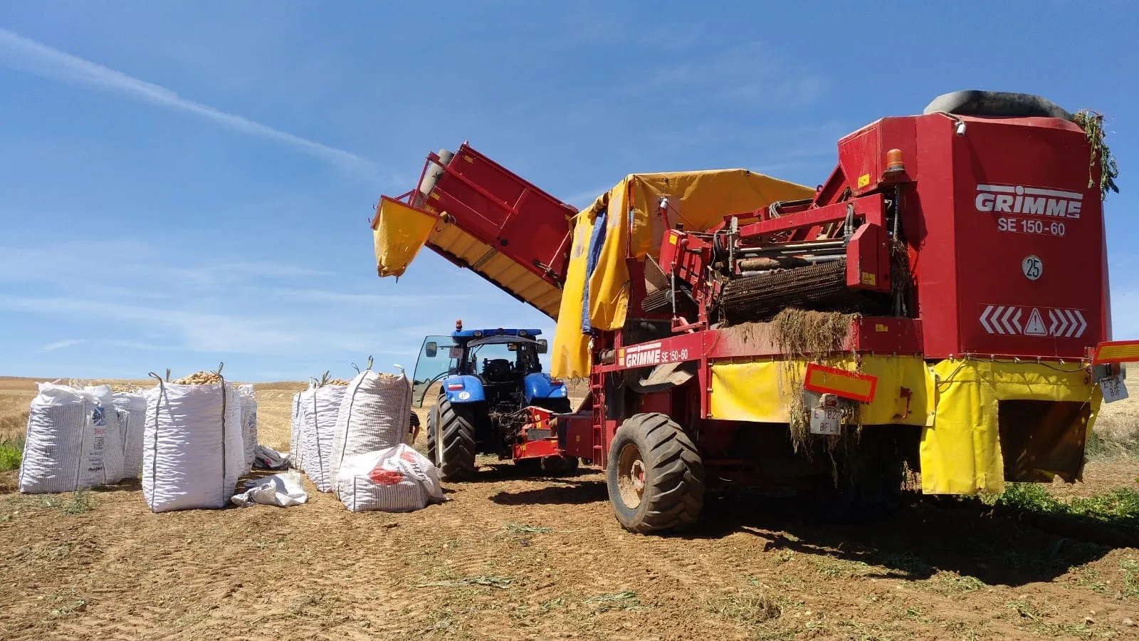 Foto 7 - Extraen las primeras patatas con m&aacute;quina en Aldearrubia