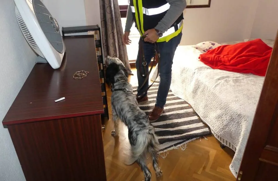 Liberación de cuatro mujeres que eran explotadas sexualmente en un piso de Rector Esperabé en octubre de 2019. Foto de archivo