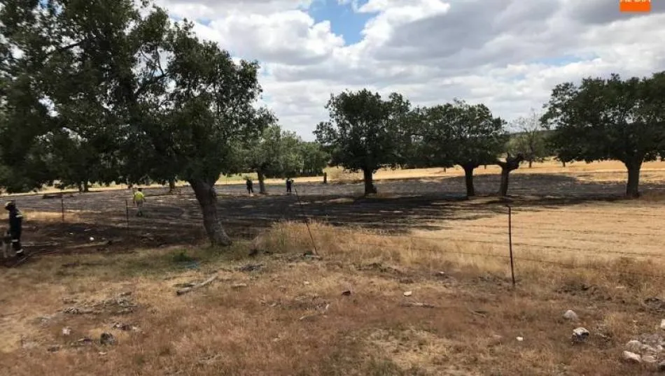 El incendio se declaró sobre las cuatro de la tarde