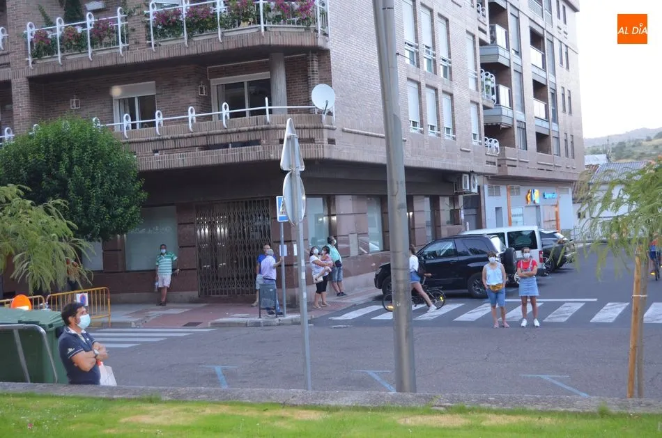 Foto 5 - Grandes bandadas de estorninos han sido ahuyentadas hoy del parque municipal