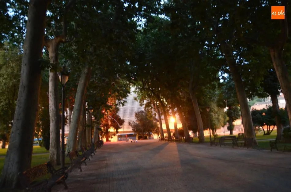 Foto 4 - Grandes bandadas de estorninos han sido ahuyentadas hoy del parque municipal