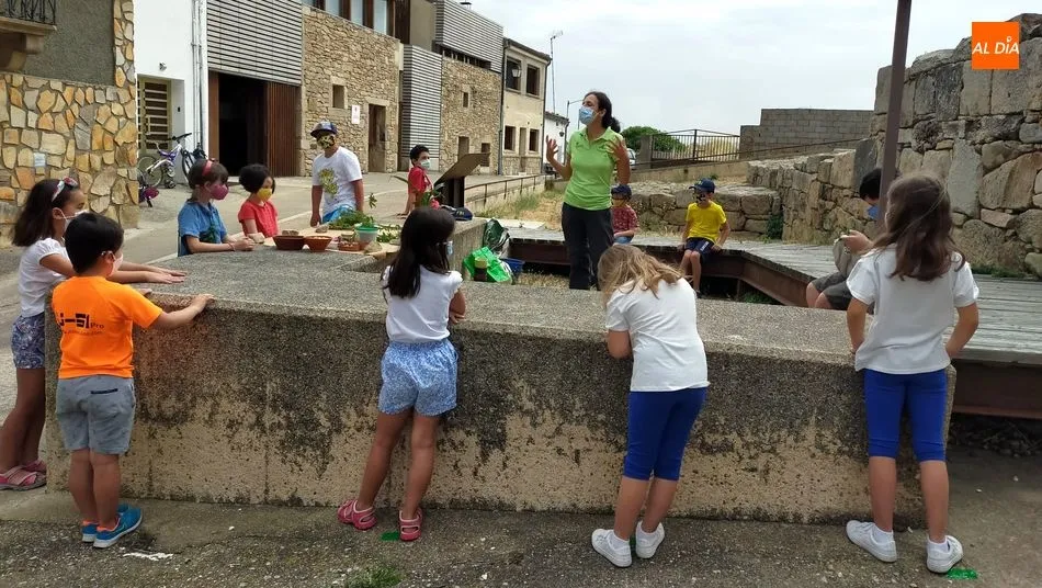 Foto 5 - Convocado el II Certamen de Pintura Villa de Sobradillo para el 8 de agosto