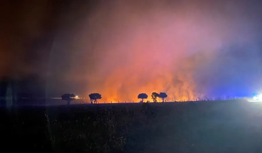 Foto 4 - Susto en Montejo por un fuego de pastos junto al pantano de Santa Teresa