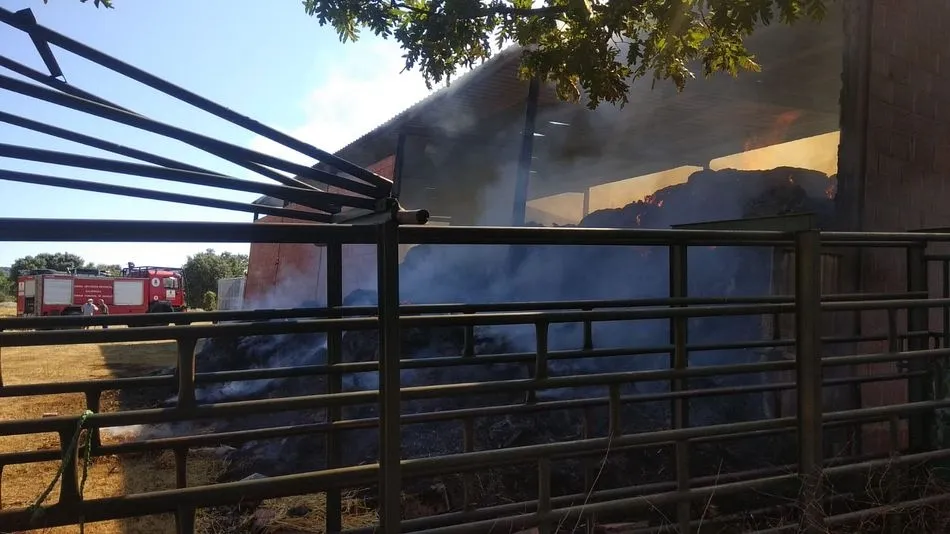 Foto 2 - El incendio de Valdelacasa fue intencionado y contin&uacute;a activo
