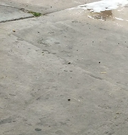 Foto 4 - Vecinos de la calle &Aacute;lamo Chico reclaman mejoras en la v&iacute;a  