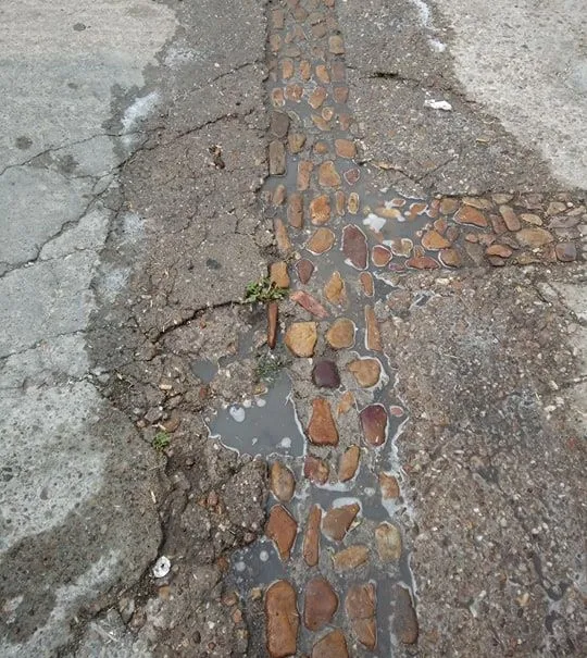 Foto 5 - Vecinos de la calle &Aacute;lamo Chico reclaman mejoras en la v&iacute;a  